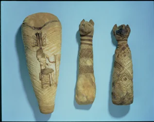 Mumifierade katter och ibis